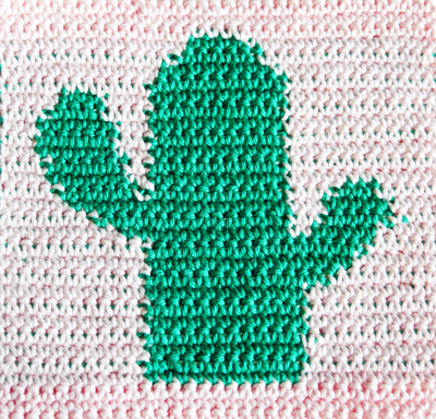 Haakpatroon Tapestry Crochet Cactus Eindresultaat-1